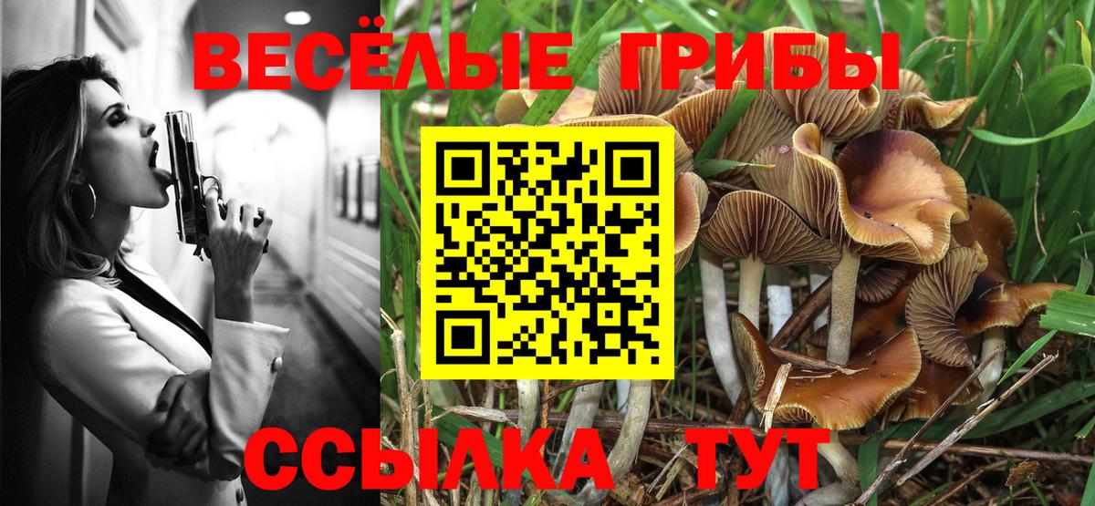 купить наркотик  Галлюциногенные грибы мухоморы  Вход с VPN  Новокубанск 