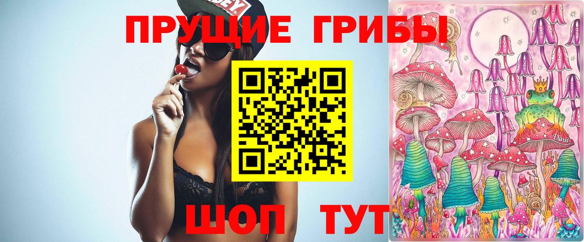 Псилоцибиновые грибы мицелий Новокубанск